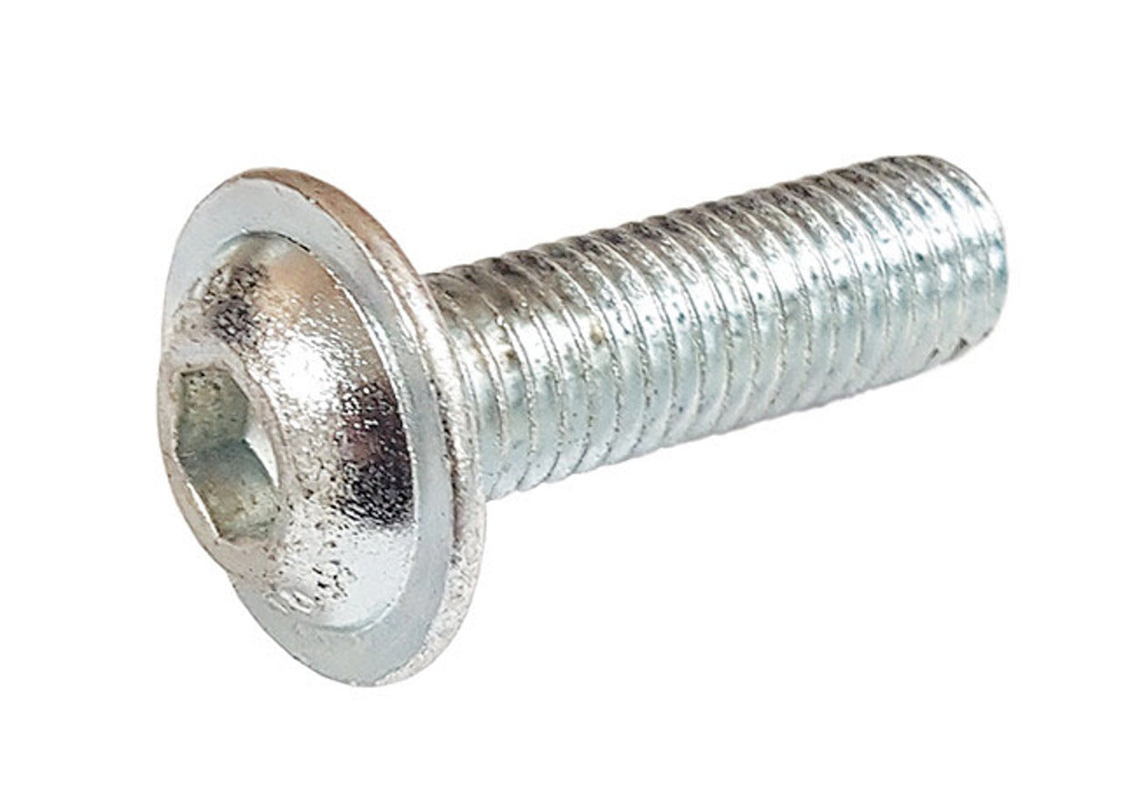 M6 X 20mm Flanged Button Head Bolt